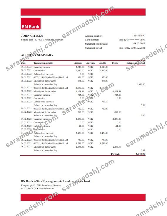 Norway BN Bank statement Excel and PDF template